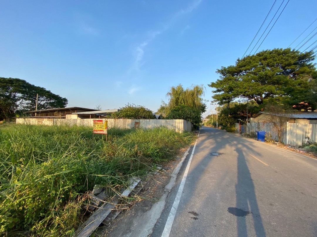 ขายถูก‼ ที่ดินใกล้ อบต.ลำโพ 100 ตารางวา ติดถนนลาดยางสาธารณะ อ.บางบัวทอง จ.นนทบุรี