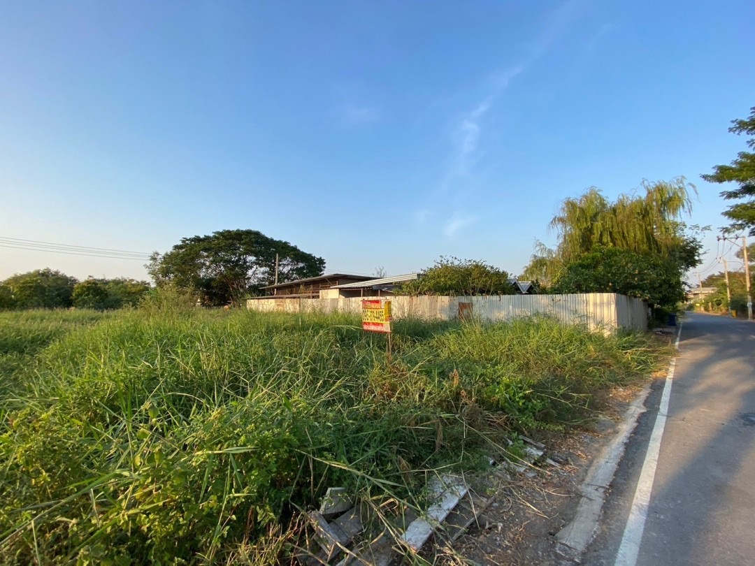 ขายถูก‼ ที่ดินใกล้ อบต.ลำโพ 100 ตารางวา ติดถนนลาดยางสาธารณะ อ.บางบัวทอง จ.นนทบุรี