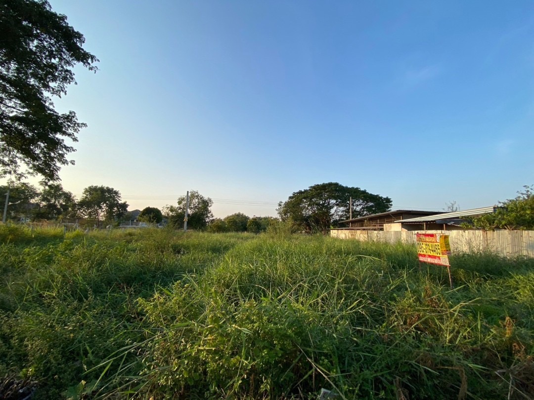 ขายถูก‼ ที่ดินใกล้ อบต.ลำโพ 100 ตารางวา ติดถนนลาดยางสาธารณะ อ.บางบัวทอง จ.นนทบุรี