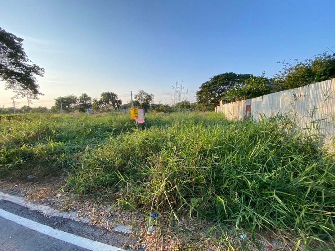 ขายถูก‼ ที่ดินใกล้ อบต.ลำโพ 100 ตารางวา ติดถนนลาดยางสาธารณะ อ.บางบัวทอง จ.นนทบุรี