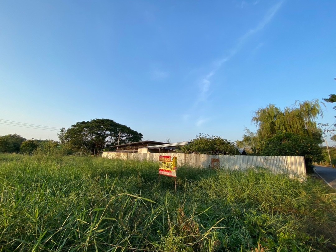 ขายถูก‼ ที่ดินใกล้ อบต.ลำโพ 100 ตารางวา ติดถนนลาดยางสาธารณะ อ.บางบัวทอง จ.นนทบุรี