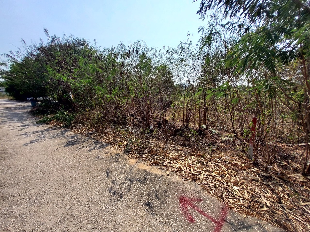 ขายที่ดินตลิ่งชัน 75 ตารางวา ติดถนนคอนกรีต ซอย บรมราชชนนี 76 ม.สุขทวี แยก 25 กรุงเทพฯ