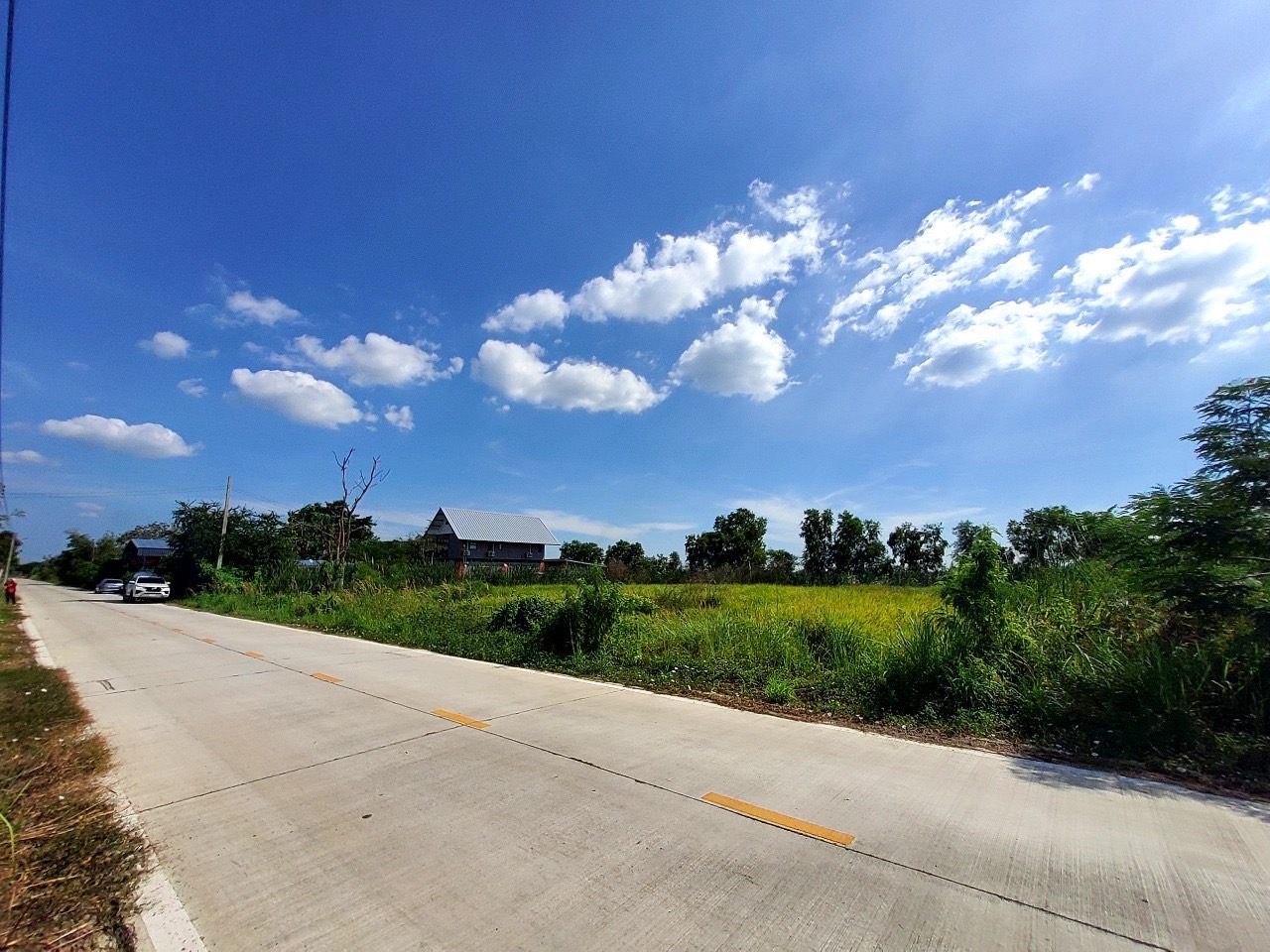 ขายถูกที่สุด ที่ดินหนองเสือ คลองเก้า 2 ไร่ ติดถนนคอนกรีตสาธารณะ ซอย บึงบอน 10(จุฑารัตน์)