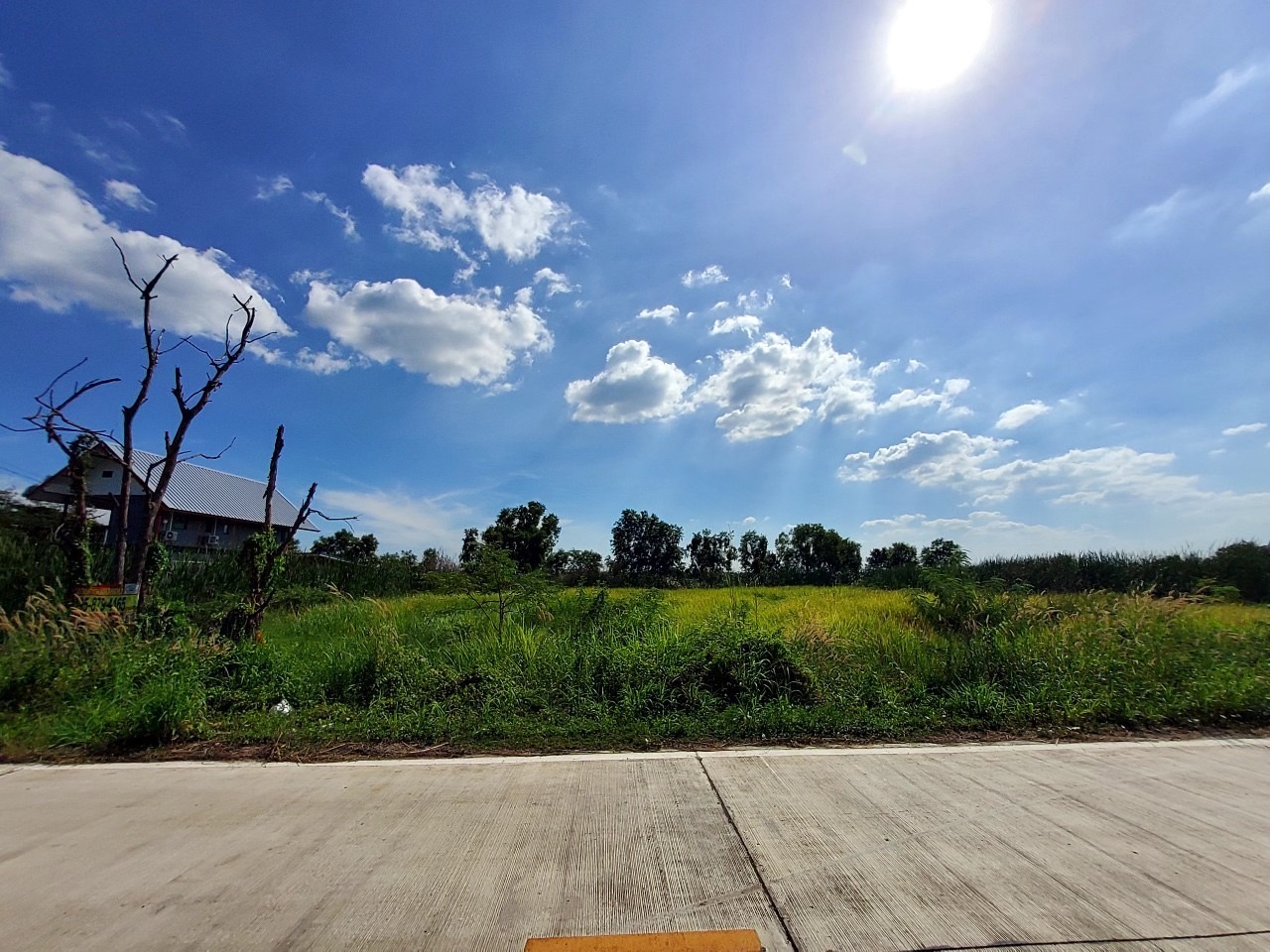 ขายถูกที่สุด ที่ดินหนองเสือ คลองเก้า 2 ไร่ ติดถนนคอนกรีตสาธารณะ ซอย บึงบอน 10(จุฑารัตน์)