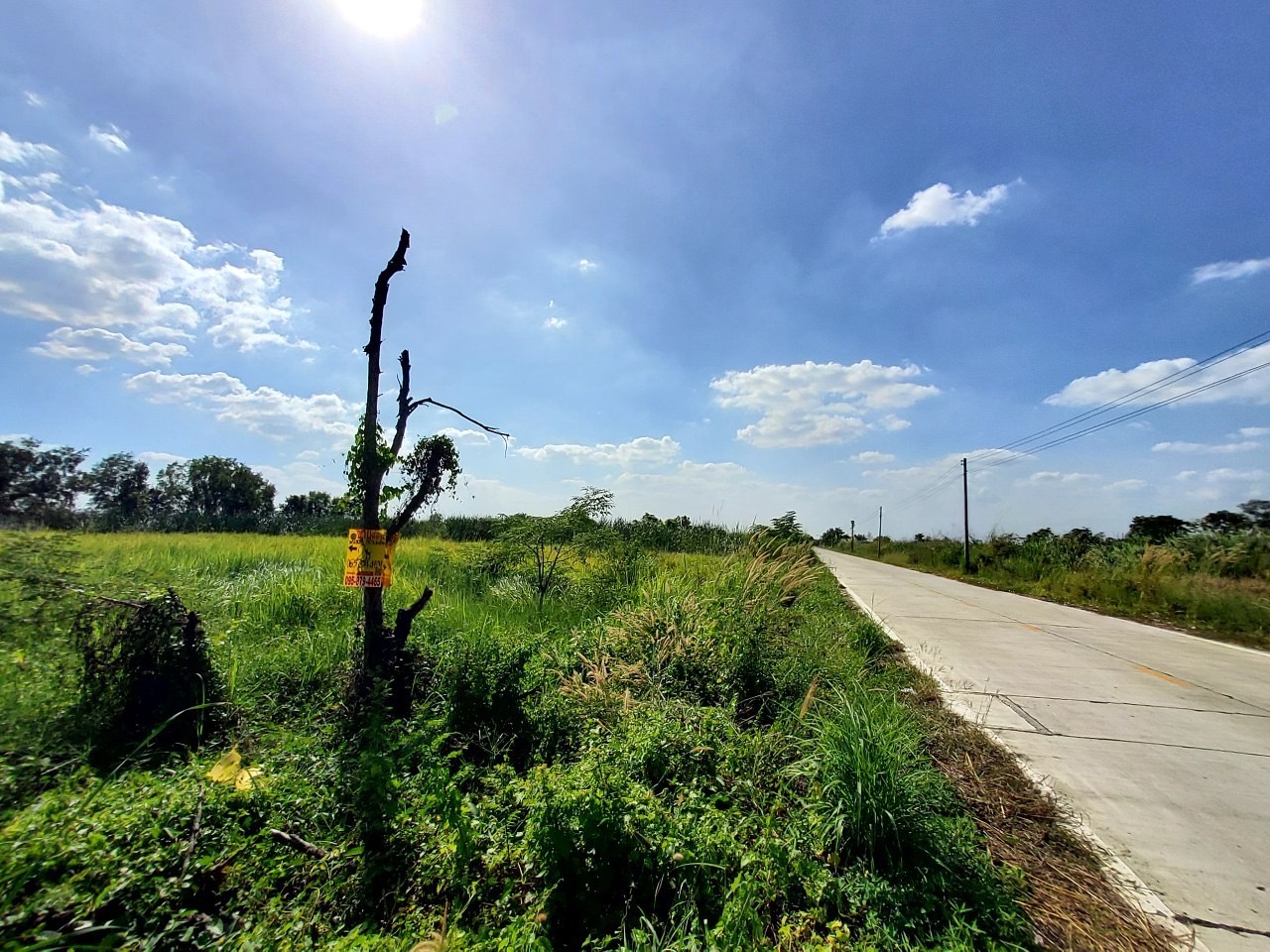 ขายถูกที่สุด ที่ดินหนองเสือ คลองเก้า 2 ไร่ ติดถนนคอนกรีตสาธารณะ ซอย บึงบอน 10(จุฑารัตน์)