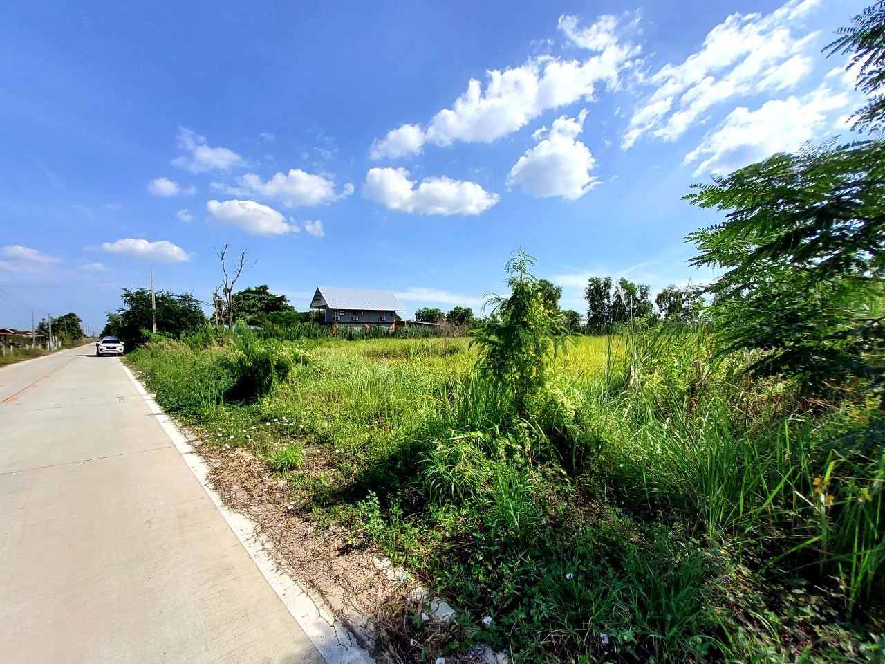 ขายถูกที่สุด ที่ดินหนองเสือ คลองเก้า 2 ไร่ ติดถนนคอนกรีตสาธารณะ ซอย บึงบอน 10(จุฑารัตน์)