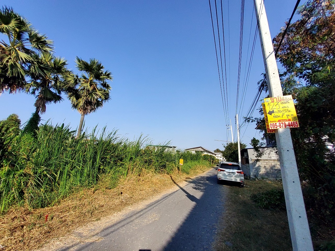 ขายราคาประเมิน ที่ดินเมืองปทุมธานี 123 ตารางวา เข้า-ออกสะดวกสบาย ซอยพูลศรี จ.ปทุมธานี