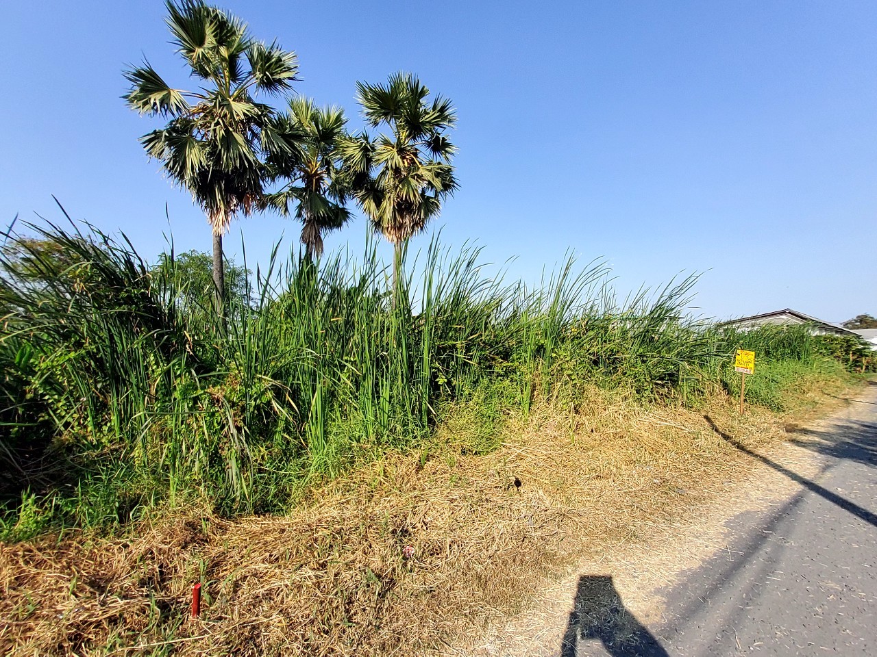 ขายราคาประเมิน ที่ดินเมืองปทุมธานี 123 ตารางวา เข้า-ออกสะดวกสบาย ซอยพูลศรี จ.ปทุมธานี