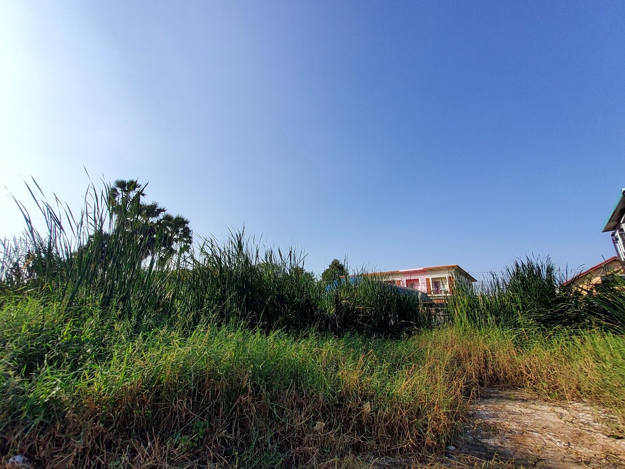 ขายราคาประเมิน ที่ดินเมืองปทุมธานี 123 ตารางวา เข้า-ออกสะดวกสบาย ซอยพูลศรี จ.ปทุมธานี