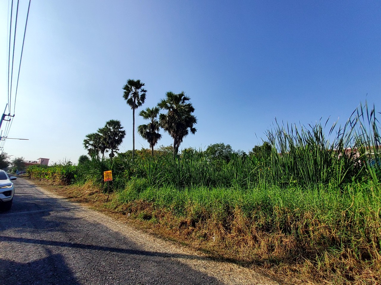 ขายราคาประเมิน ที่ดินเมืองปทุมธานี 123 ตารางวา เข้า-ออกสะดวกสบาย ซอยพูลศรี จ.ปทุมธานี