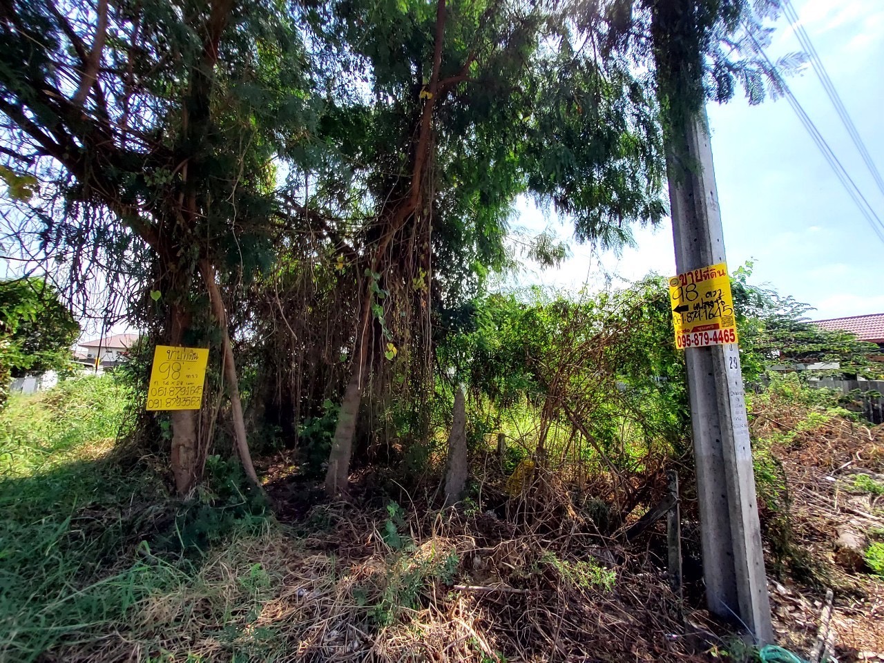 ขายดินถนนบางกรวย-ไทรน้อย 98 ตารางวา(แบ่งได้) ติดถนนลาดยางสาธารณะ 2 ด้าน ซอย เทพประทาน 1 จ,นนทบุรี