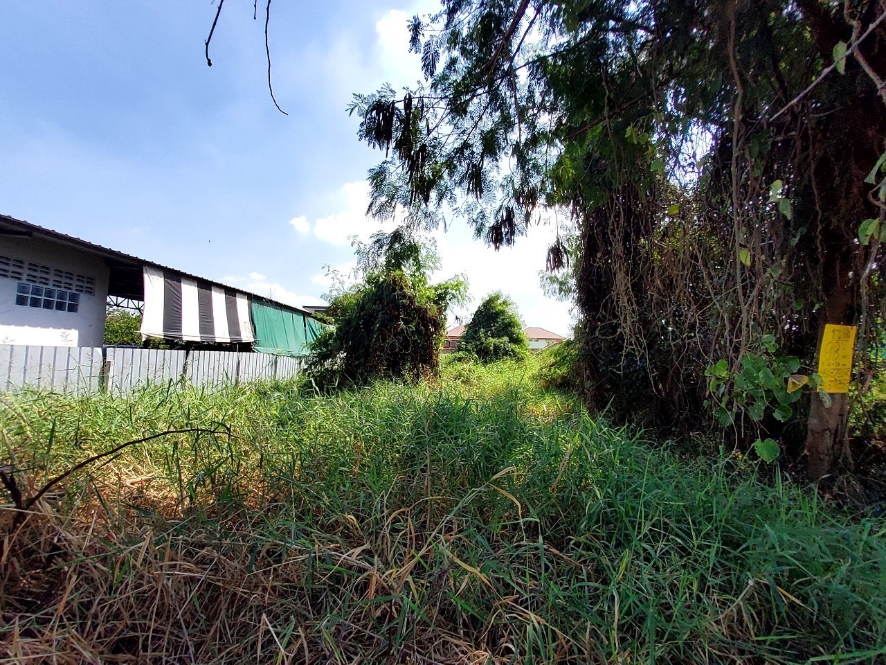 ขายดินถนนบางกรวย-ไทรน้อย 98 ตารางวา(แบ่งได้) ติดถนนลาดยางสาธารณะ 2 ด้าน ซอย เทพประทาน 1 จ,นนทบุรี