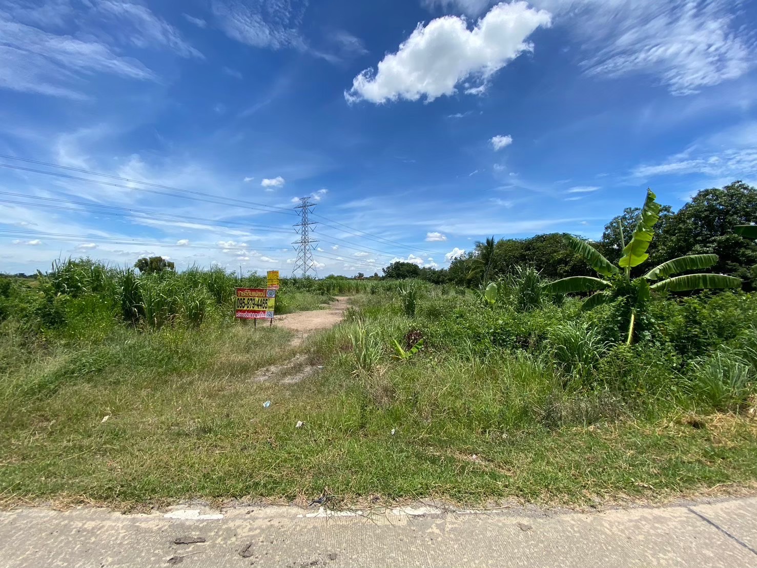 ขายด่วน‼ ที่ดินติดคลอง 2 ไร่ครึ่ง หน้าติดถนนคอนกรีตสาธารณะ ถมแล้วบางส่วน ซอยคูขวาง 11 อ.ลาดหลุมแก้ว จ.ปทุมธานี