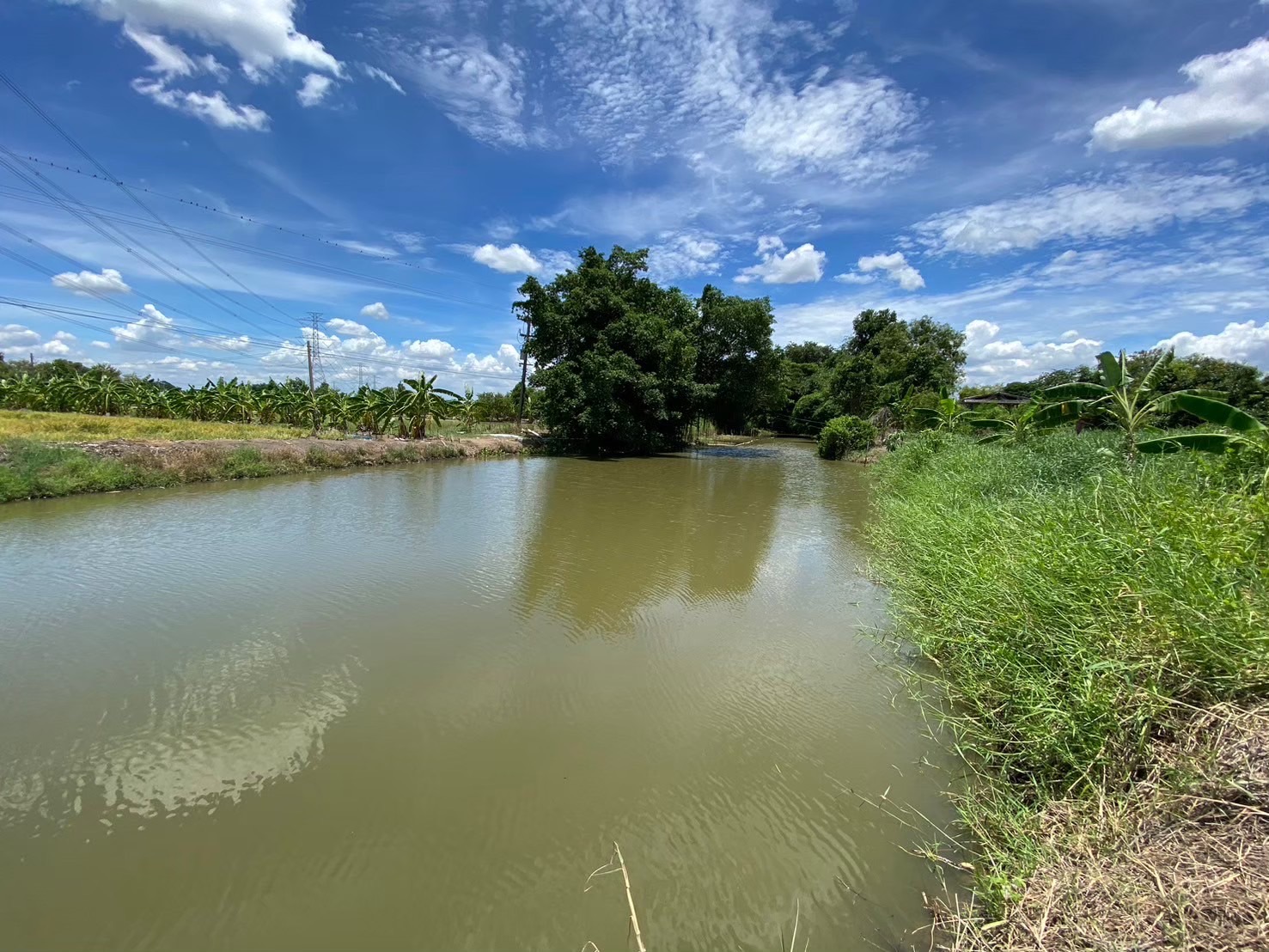 ขายด่วน‼ ที่ดินติดคลอง 2 ไร่ครึ่ง หน้าติดถนนคอนกรีตสาธารณะ ถมแล้วบางส่วน ซอยคูขวาง 11 อ.ลาดหลุมแก้ว จ.ปทุมธานี