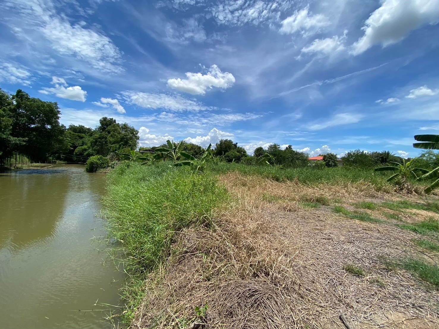 ขายด่วน‼ ที่ดินติดคลอง 2 ไร่ครึ่ง หน้าติดถนนคอนกรีตสาธารณะ ถมแล้วบางส่วน ซอยคูขวาง 11 อ.ลาดหลุมแก้ว จ.ปทุมธานี