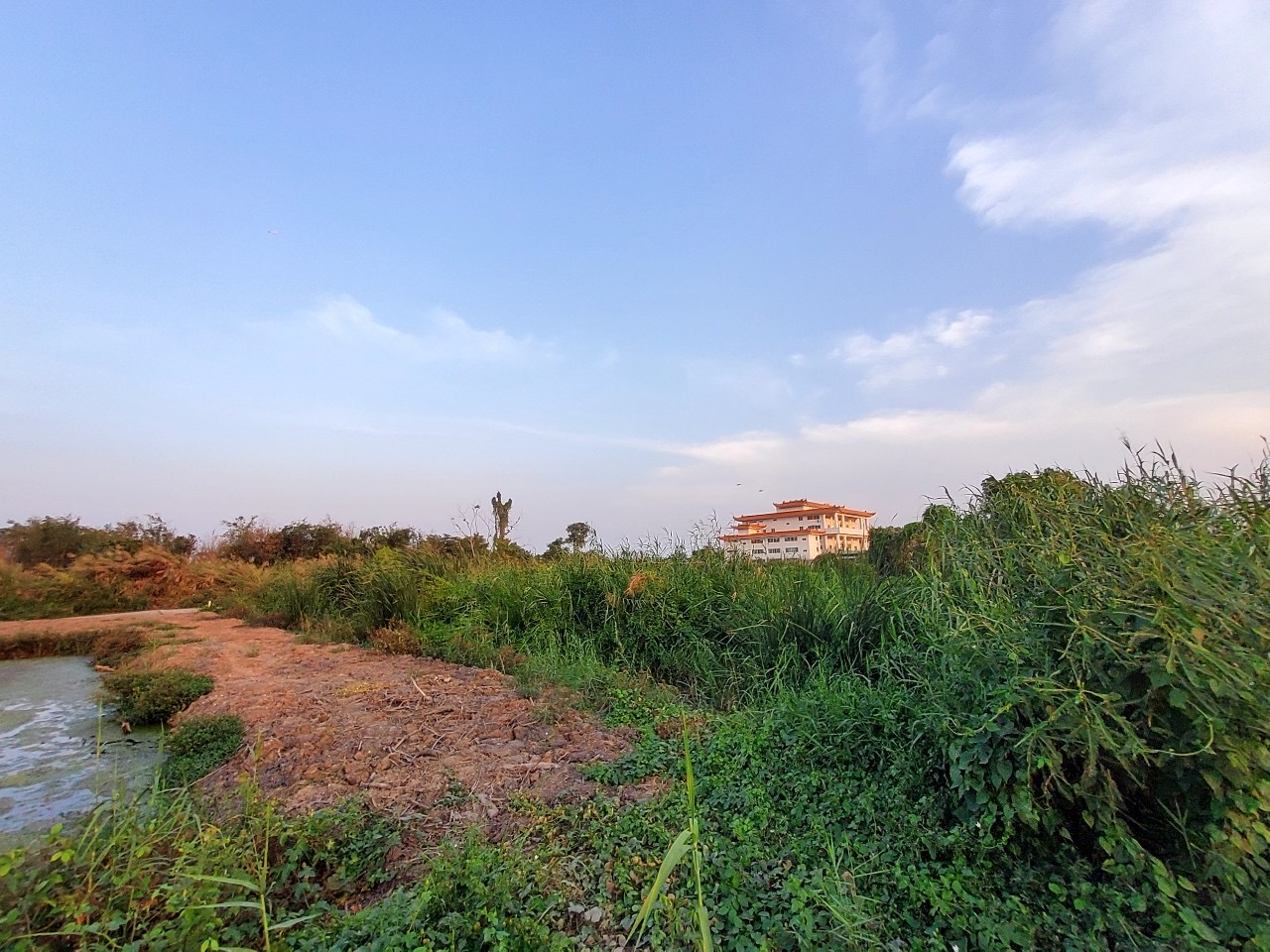 ขายด่วน‼ ที่ดินลำลูกกาคลองสิบสอง 804 ตารางวา ติดถนนคอนกรีตสาธารณะ ซอย สมาคมพุทธาลัยฯ จ.ปทุมธานี