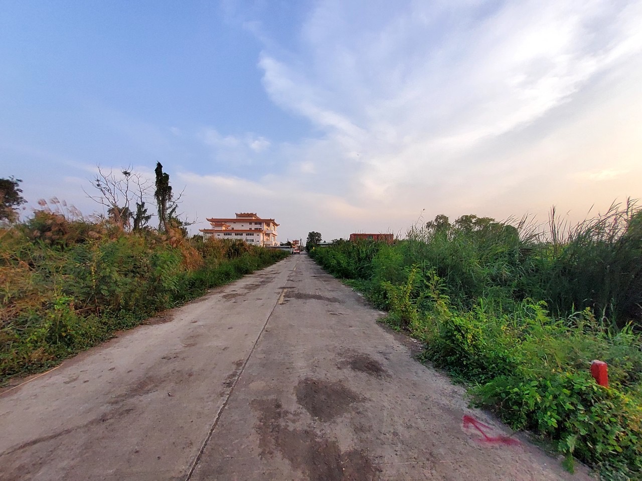 ขายด่วน‼ ที่ดินลำลูกกาคลองสิบสอง 804 ตารางวา ติดถนนคอนกรีตสาธารณะ ซอย สมาคมพุทธาลัยฯ จ.ปทุมธานี