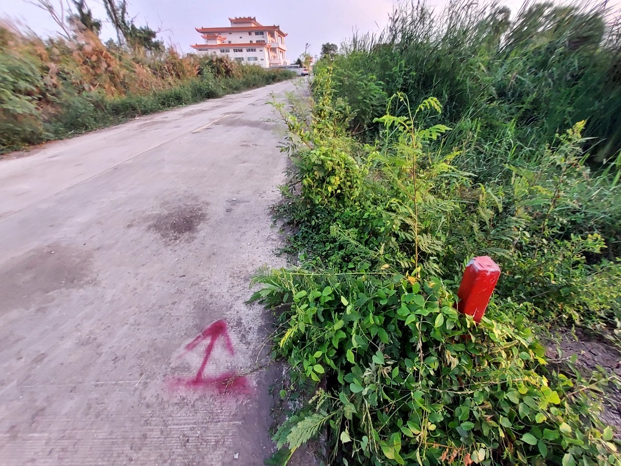 ขายด่วน‼ ที่ดินลำลูกกาคลองสิบสอง 804 ตารางวา ติดถนนคอนกรีตสาธารณะ ซอย สมาคมพุทธาลัยฯ จ.ปทุมธานี