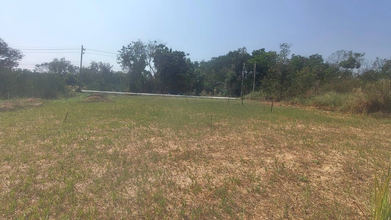 ขายที่ดินใกล้ราชพฤกษ์ตัดใหม่ 516.9 ตารางวา ติดถนนคอนดรีตสาธารณะ ถมแล้วซอย แหลมทอง เมืองปทุมธานี