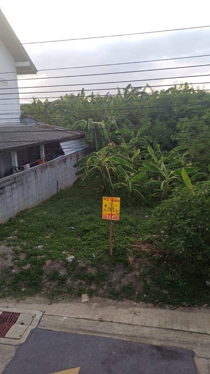 ขายที่ดินถมแล้ว 50 ตารางวา ติดถนนคอนกรีตสาธารณะ ซอย ประเสริฐมนูกิจ 29 แยก 8 บางกะปิ กทม.