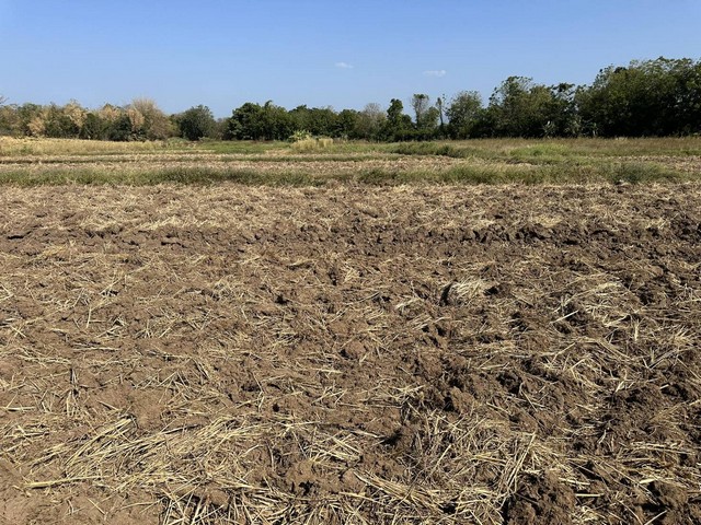 ขายที่ดิน 11 ไร่ 43 ตารางวา ตำบลบ้านกลาง อำเภอหล่มสัก จังหวัดเพชรบูรณ์