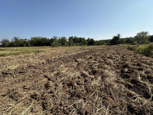 ขายที่ดิน 11 ไร่ 43 ตารางวา ตำบลบ้านกลาง อำเภอหล่มสัก จังหวัดเพชรบูรณ์