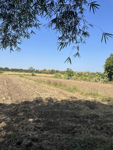 ขายที่ดิน 11 ไร่ 43 ตารางวา ตำบลบ้านกลาง อำเภอหล่มสัก จังหวัดเพชรบูรณ์