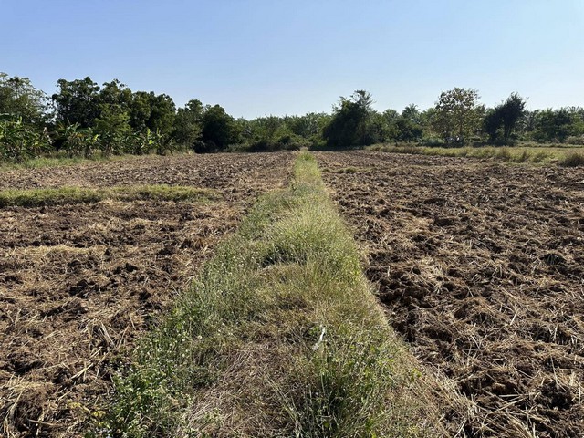 ขายที่ดิน 11 ไร่ 43 ตารางวา ตำบลบ้านกลาง อำเภอหล่มสัก จังหวัดเพชรบูรณ์