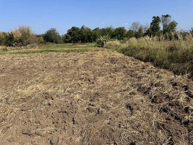 ขายที่ดิน 11 ไร่ 43 ตารางวา ตำบลบ้านกลาง อำเภอหล่มสัก จังหวัดเพชรบูรณ์