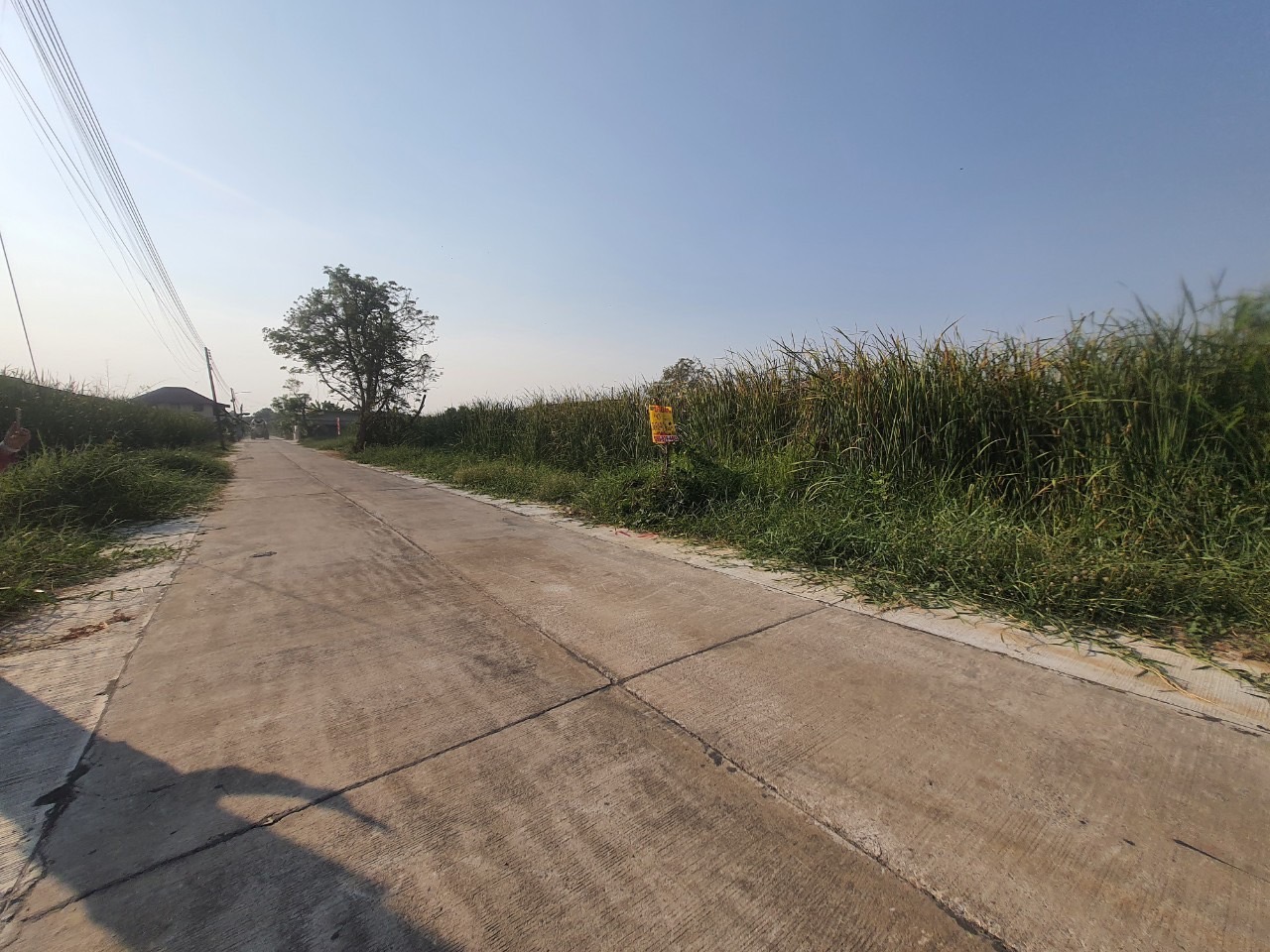 ขายด่วน ที่ดินใกล้มอเตอร์เวย์ 50 ตารางวา ติดถนนคอนกรีตสาธารณะ ซอย คลองสี่ตะวันออก 14 อ.คลองหลวง จ.ปทุมธานี