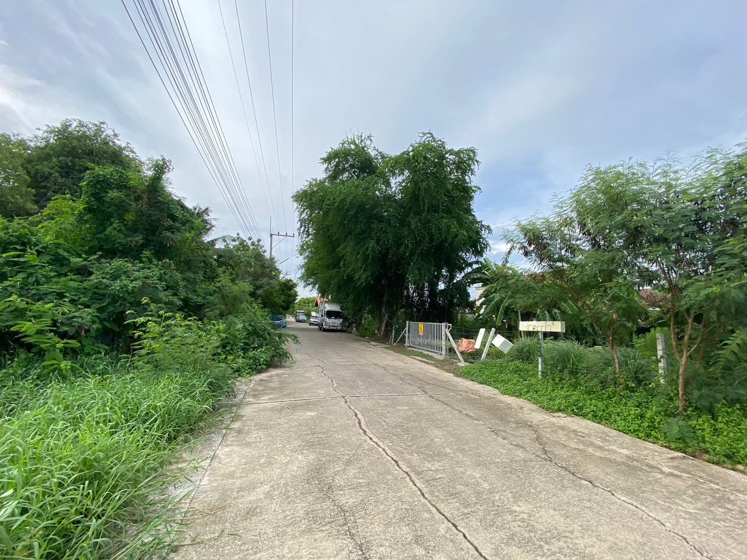 ขายถูก ที่ดินถนนรังสิต-นครนายก 60 ตารางวา ติดถนนนกรีตสาธารณะ ซอย เพิ่มทรัพย์  คลอง 7 อ.ธัญบุรี จ.ปทุมธานี