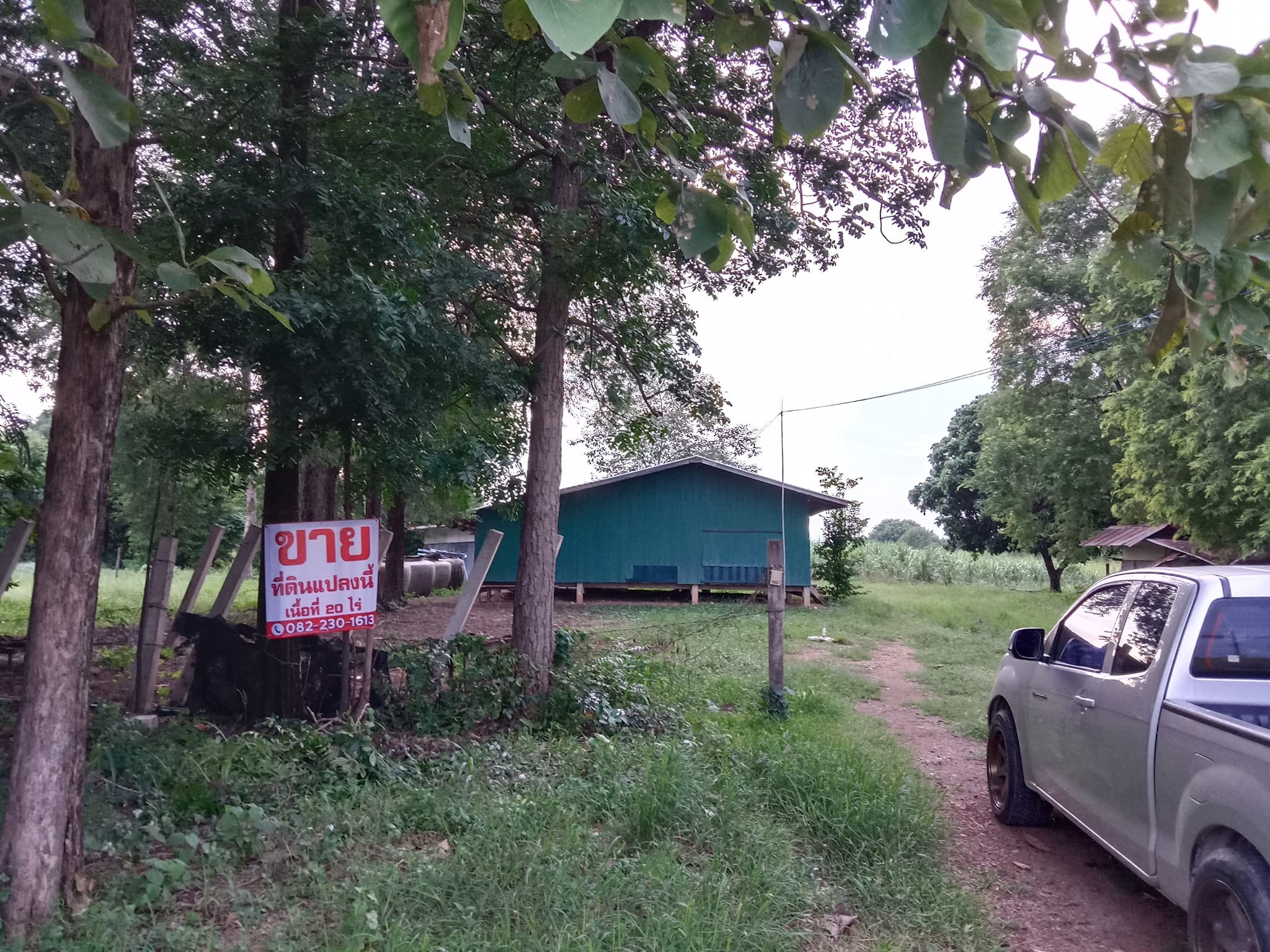 ขายที่ดินเปล่าทำเลดี ที่ดิน  20 ไร่ ต.พัฒนานิคม อ.พัฒนานิคม จ.ลพบุรี