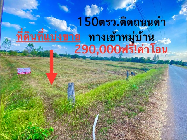 ขายที่ดิน 150,200,300 ตารางวา ดอนหญ้านาง ต.ดอนช้าง อ.เมือง จ.ขอนแก่น