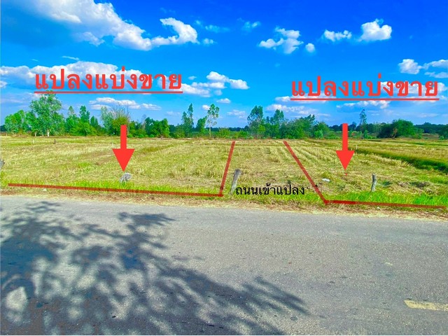 ขายที่ดิน 150,200,300 ตารางวา ดอนหญ้านาง ต.ดอนช้าง อ.เมือง จ.ขอนแก่น