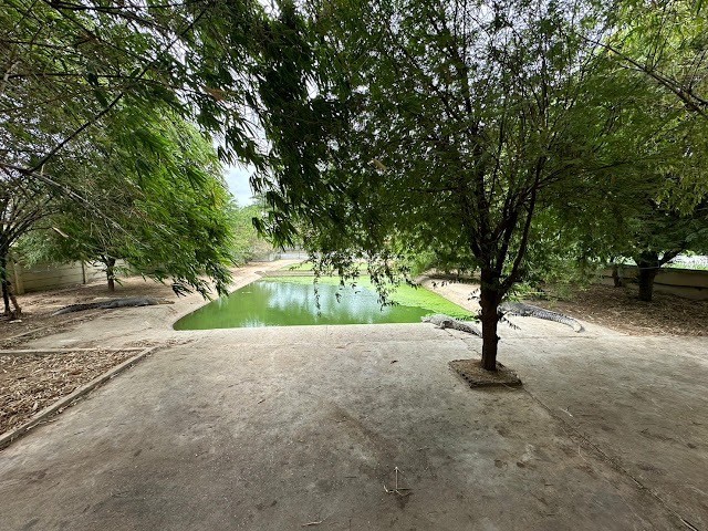 ขายที่ดินพร้อมสิ่งปลูกสร้าง  84 ไร่ 0 งาน 73 ตารางวา  ตำบลทุ่งลูกนก อำเภอกำแพงแสน จังหวัดนครปฐม 