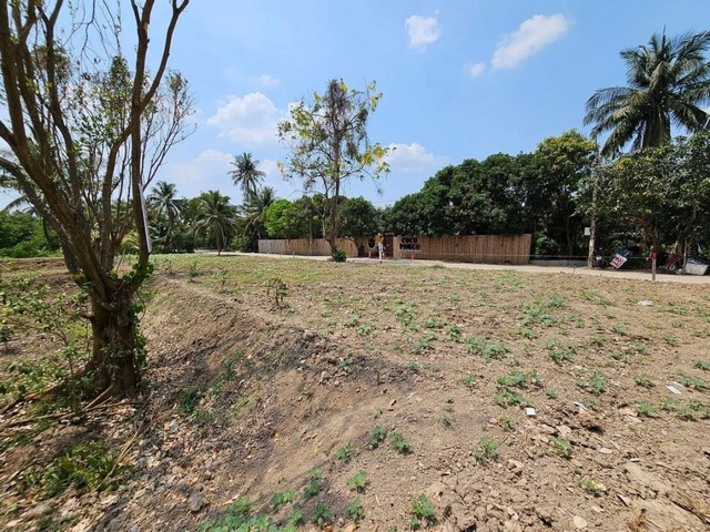 ขายที่ดิน3 ไร่ 85 ตารางวา ตำบลบางกร่าง อำเภอเมืองนนทบุรี นนทบุรี