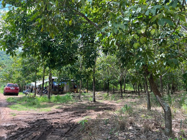 ขายที่ดิน10 ไร่  บ้านพุน้ำร้อน  ต.บ้านเก่า อ.เมือง จ.กาญจนบุรี 