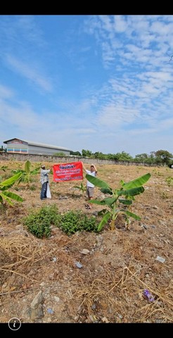 ปล่อยเช่าที่ดิน 3 ไร่ 1 งาน 76 ตารางวา เขตบางบอน กรุงเทพมหานคร