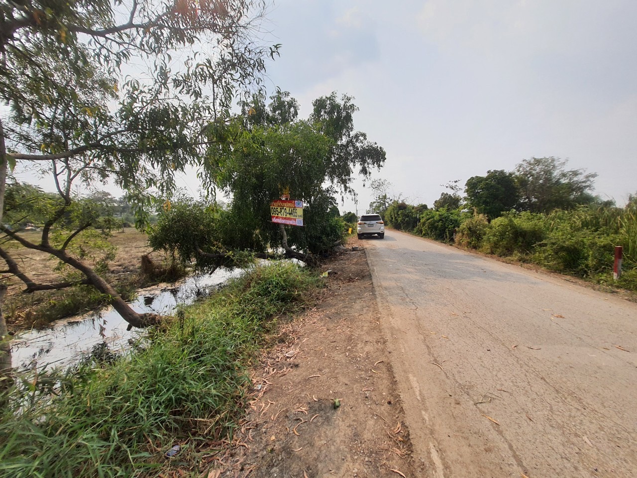 ขายถูก‼ ที่ดินคลองสอง 83 ตารางวา ติดถนนลาดยางสาธารณะ ซอย บงกช 38 อ.คลองหลวง จ.ปทุมธานี