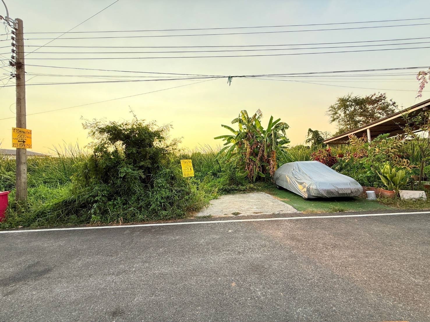 ขายถูกที่สุด‼ ที่ดินลาดปลาดุก 60 ตารางวา ติดถนนลาดยางสาธารณะ ซอย หมู่บ้านธารทอง 2 อ.บางบัวทอง จ.นนทบุรี