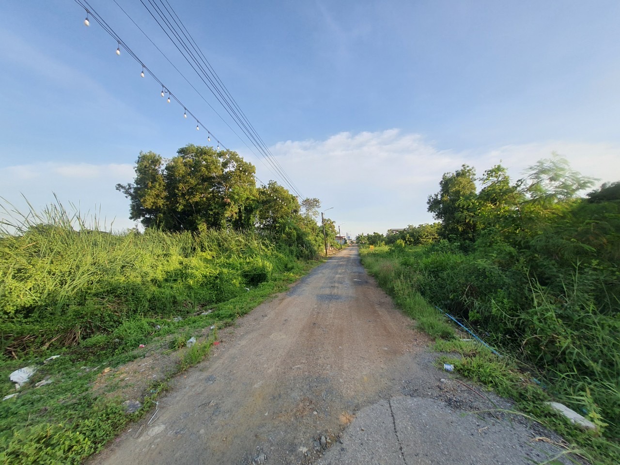 ขายที่ดินสุวินทวงศ์ 106 ตารางวา แปลงมุม ติดถนนสาธารณะ ซอย สุวินทวงศ์ 90 เขตหนองจอก กทม.