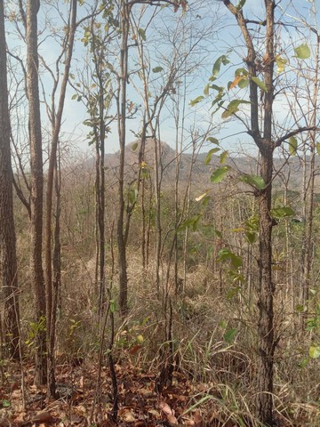 ขายที่ดิน ขนาดที่ดิน  6 ไร่ 3 งาน 24 ตารางวา เชียงใหม่