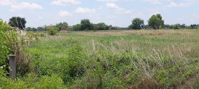 ขายที่ดิน 8 ไร่เศษ ติดถนน ทำเลสวย ใกล้สนามบิน ต.หนอกพอก อ.ธวัชบุรี จ.ร้อยเอ็ด 