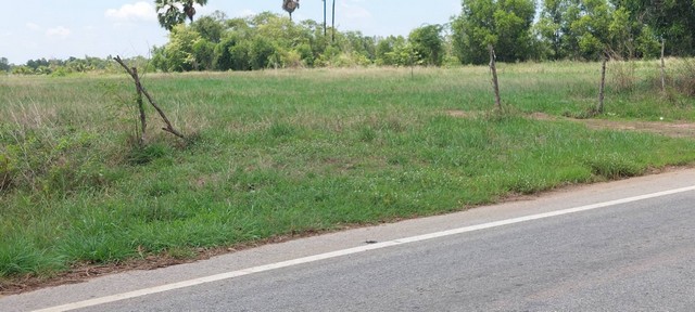 ขายที่ดิน 8 ไร่เศษ ติดถนน ทำเลสวย ใกล้สนามบิน ต.หนอกพอก อ.ธวัชบุรี จ.ร้อยเอ็ด 