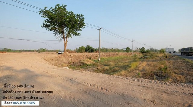 ขายที่ดินทำเลดี 2 แปลงติดกัน (15 และ 50 ไร่) เจ้าของขายเอง แยกขายได้ ตำบลหนองบัว อำเภอหนองบัว จังหวัดนครสวรรค์