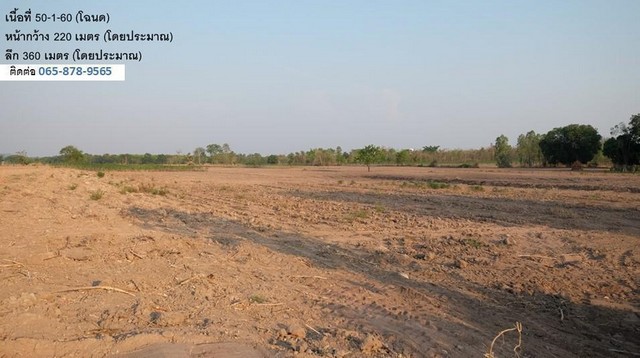 ขายที่ดินทำเลดี 2 แปลงติดกัน (15 และ 50 ไร่) เจ้าของขายเอง แยกขายได้ ตำบลหนองบัว อำเภอหนองบัว จังหวัดนครสวรรค์