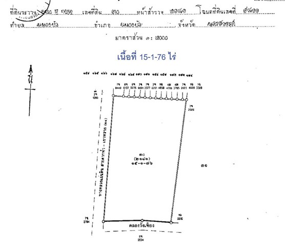 ขายที่ดินทำเลดี 2 แปลงติดกัน (15 และ 50 ไร่) เจ้าของขายเอง แยกขายได้ ตำบลหนองบัว อำเภอหนองบัว จังหวัดนครสวรรค์