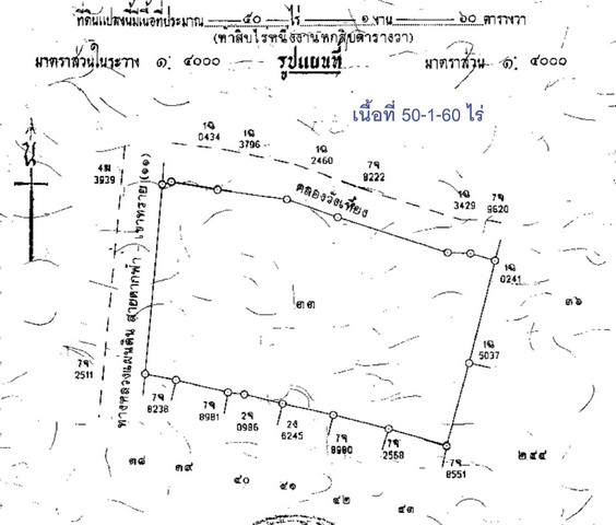 ขายที่ดินทำเลดี 2 แปลงติดกัน (15 และ 50 ไร่) เจ้าของขายเอง แยกขายได้ ตำบลหนองบัว อำเภอหนองบัว จังหวัดนครสวรรค์