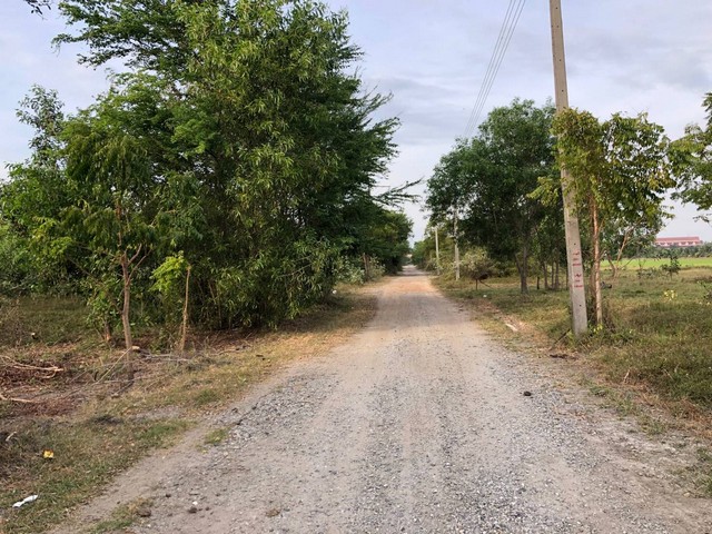 ขายที่ดินบางคล้า 2 แปลง หน้า-หลัง ติดกัน รวม 571 ตารางวา ทั้ง 2 แปลงมีถนนสาธารณะ  จังหวัดฉะเชิงเทรา