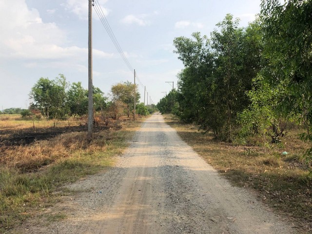 ขายที่ดินบางคล้า 2 แปลง หน้า-หลัง ติดกัน รวม 571 ตารางวา ทั้ง 2 แปลงมีถนนสาธารณะ  จังหวัดฉะเชิงเทรา